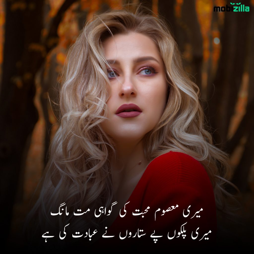 beautiful Husn Shayri