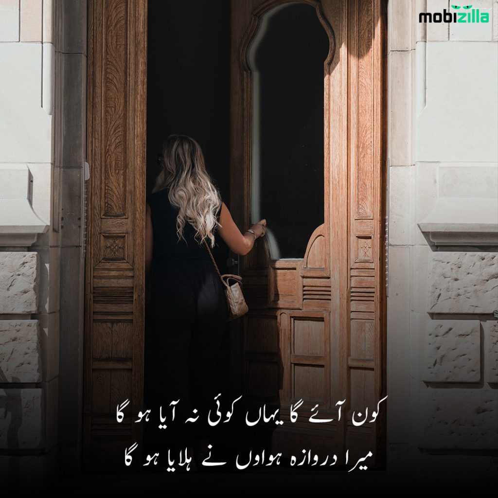 Poetry on beauty in Urdu