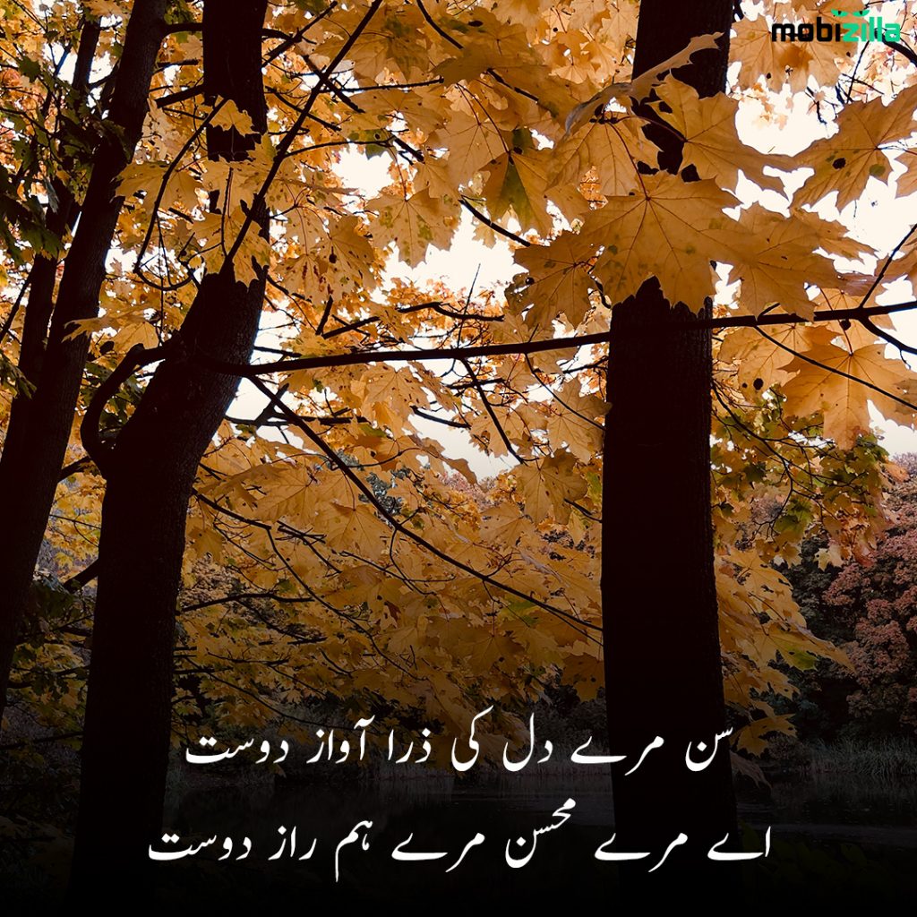 friendship poetry urdu 