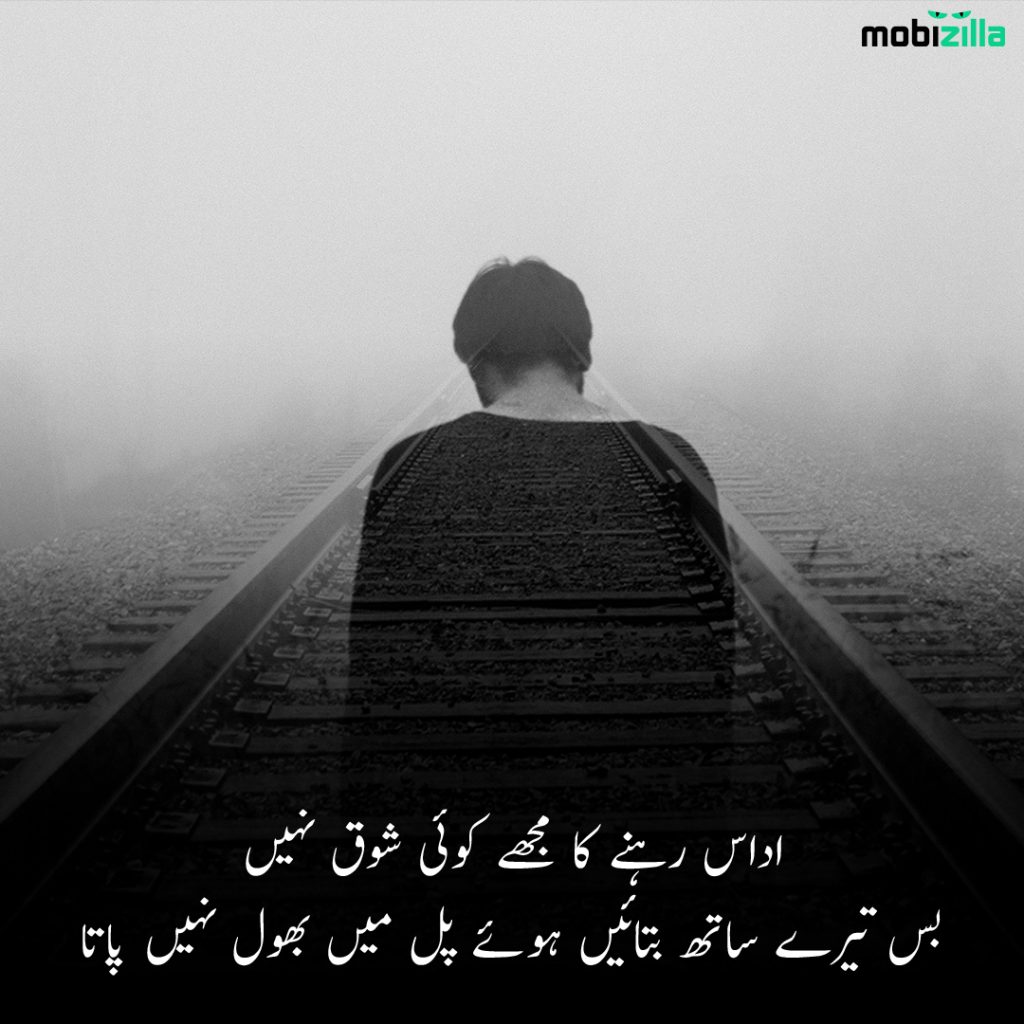 Poetry on beauty in Urdu