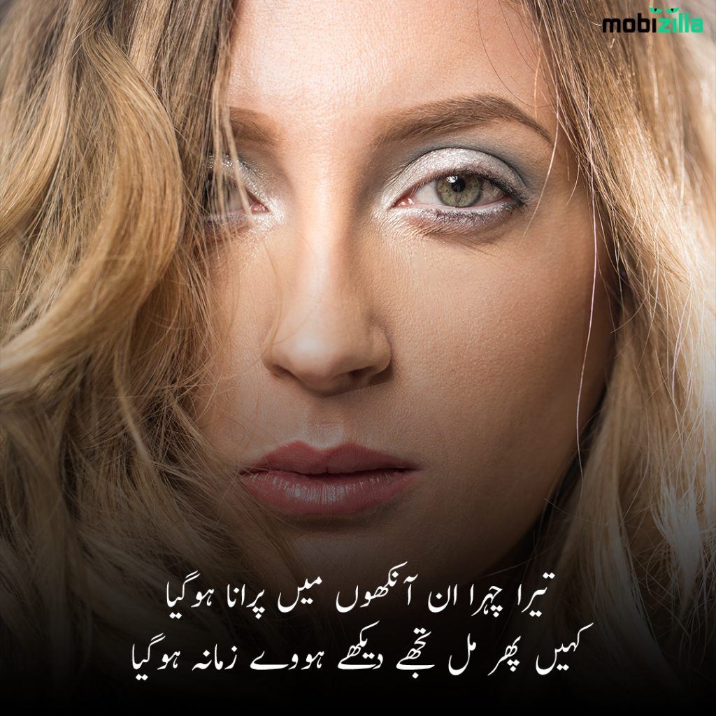 Poetry on beauty in Urdu