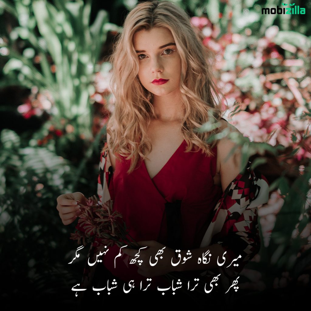 Poetry on beauty in Urdu