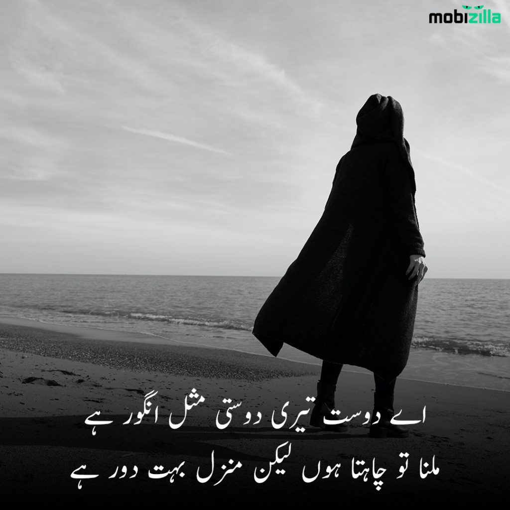 friendship poetry in urdu two lines