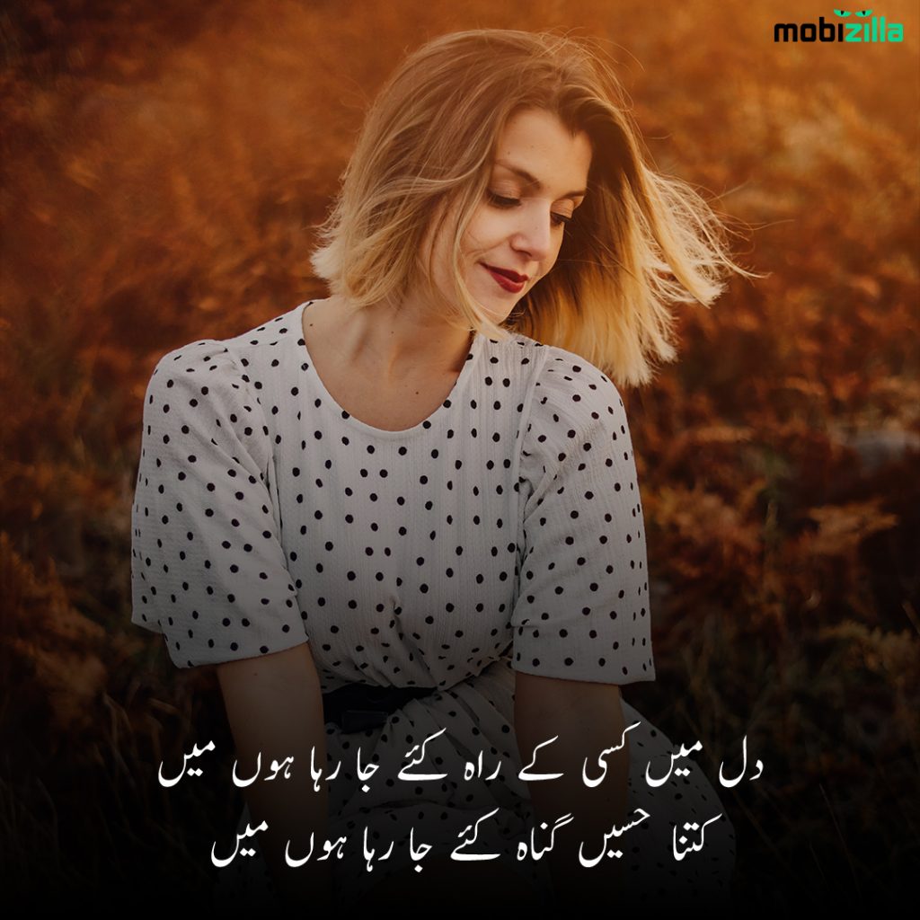 Poetry on beauty in Urdu