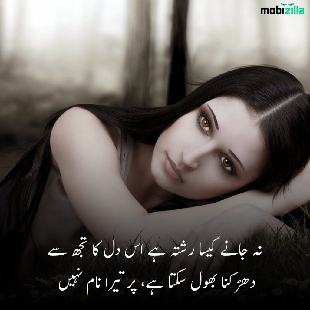 No Love Lost Between Meaning In Urdu