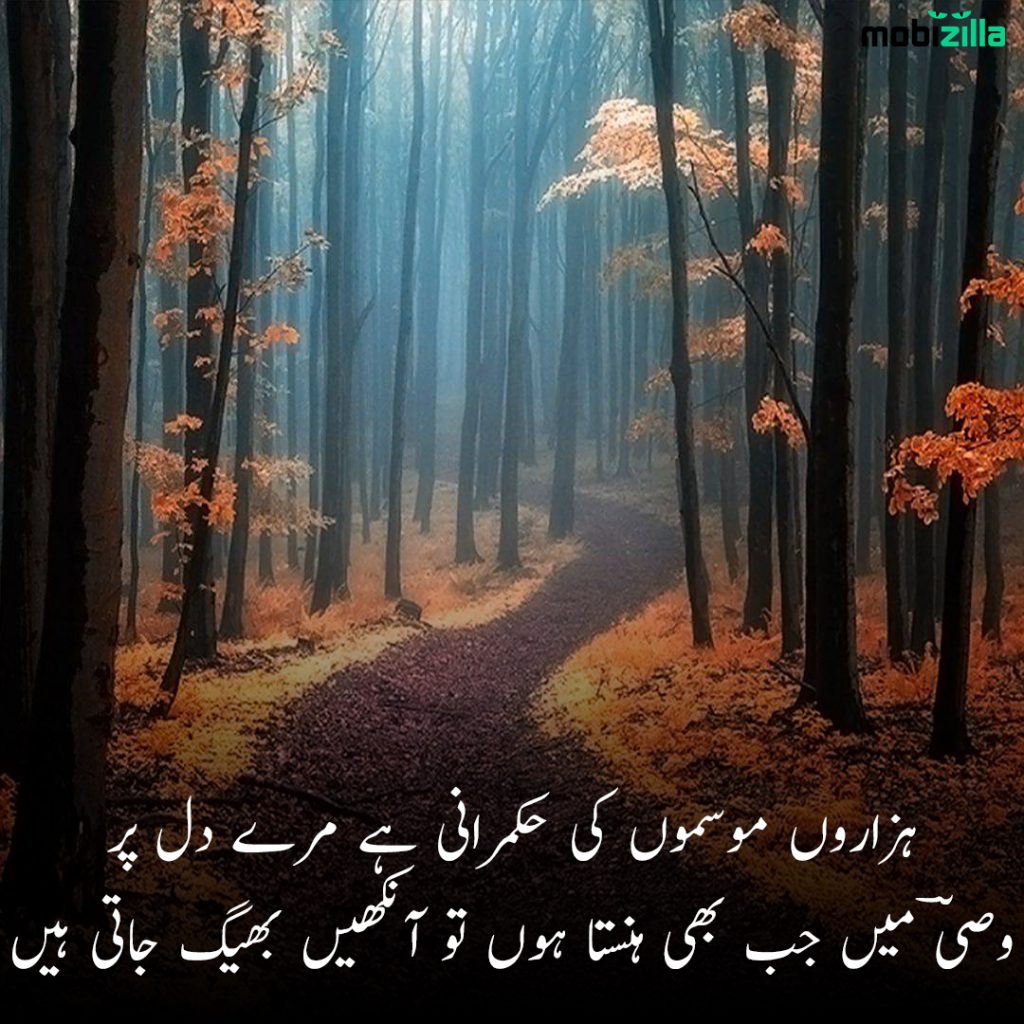 poetry urdu