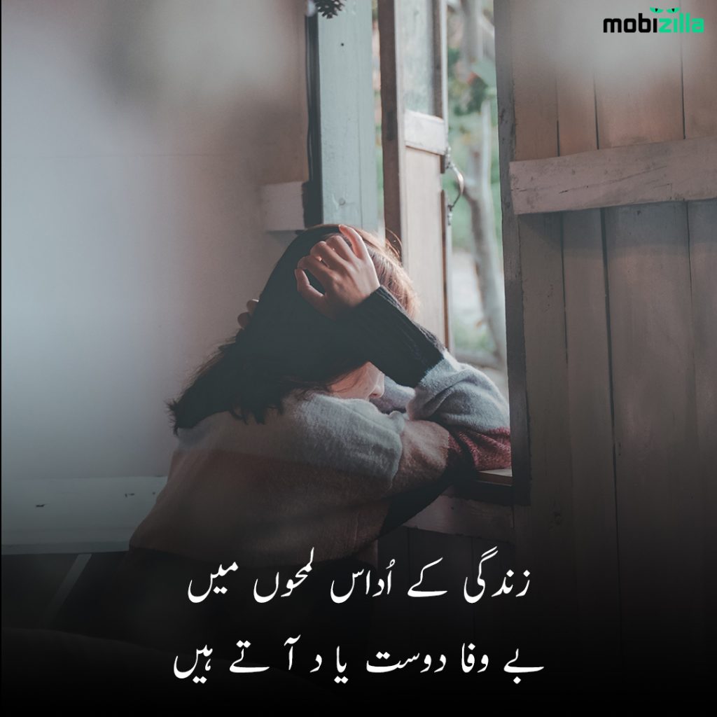 friendship poetry in urdu two lines