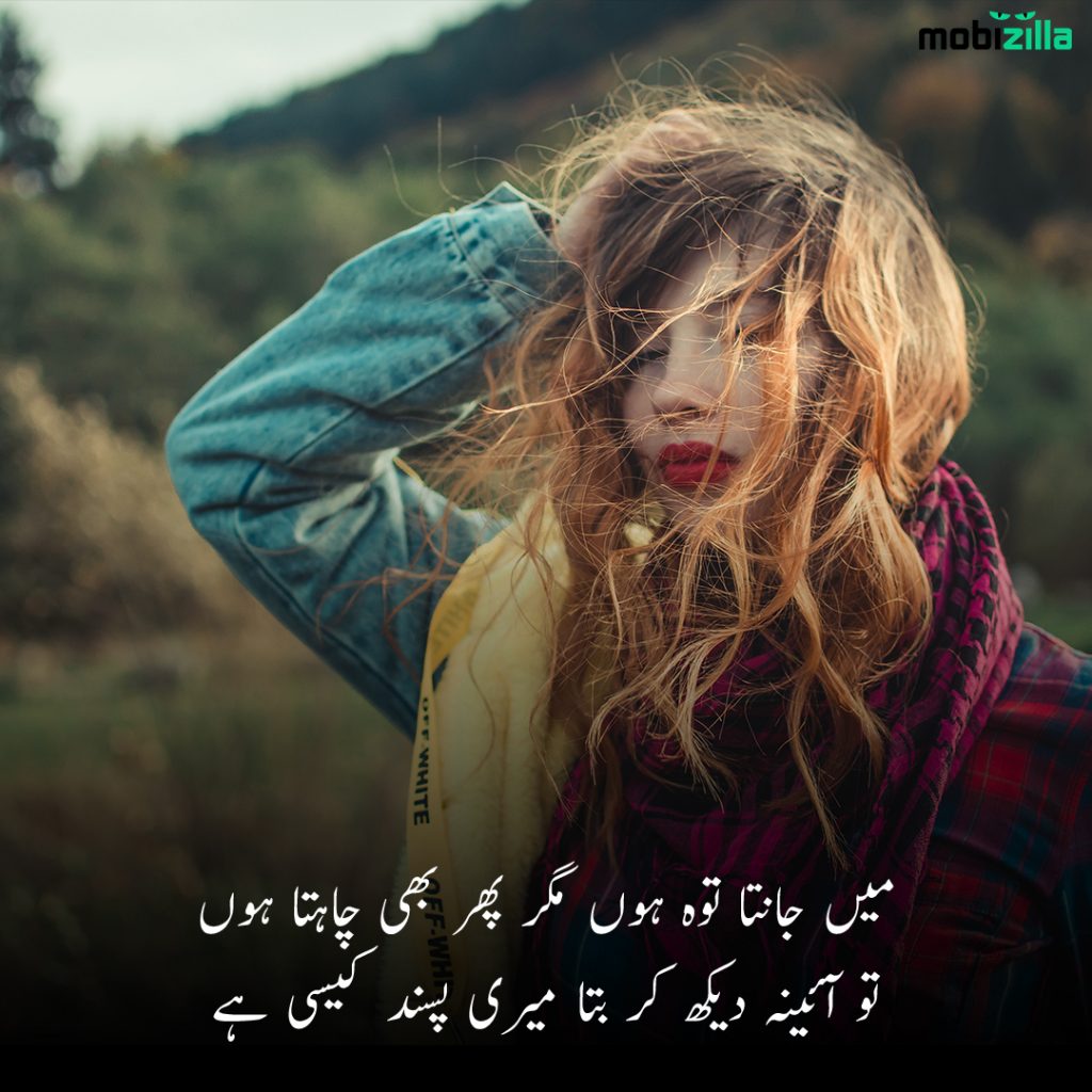 Poetry on beauty in Urdu