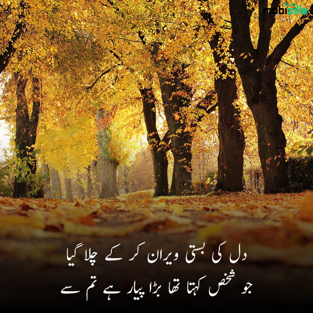 friendship poetry urdu 