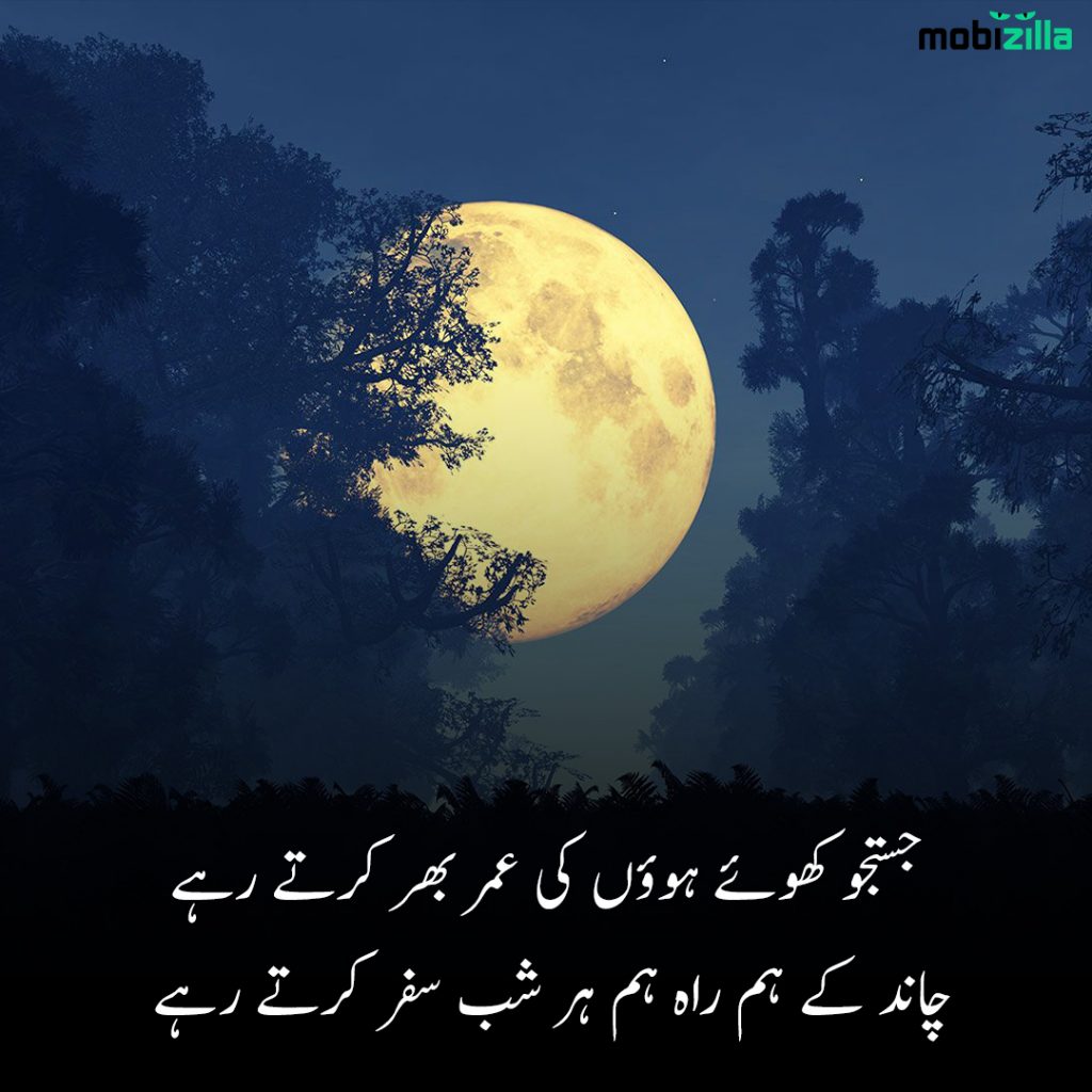 pics of sad poetry in urdu