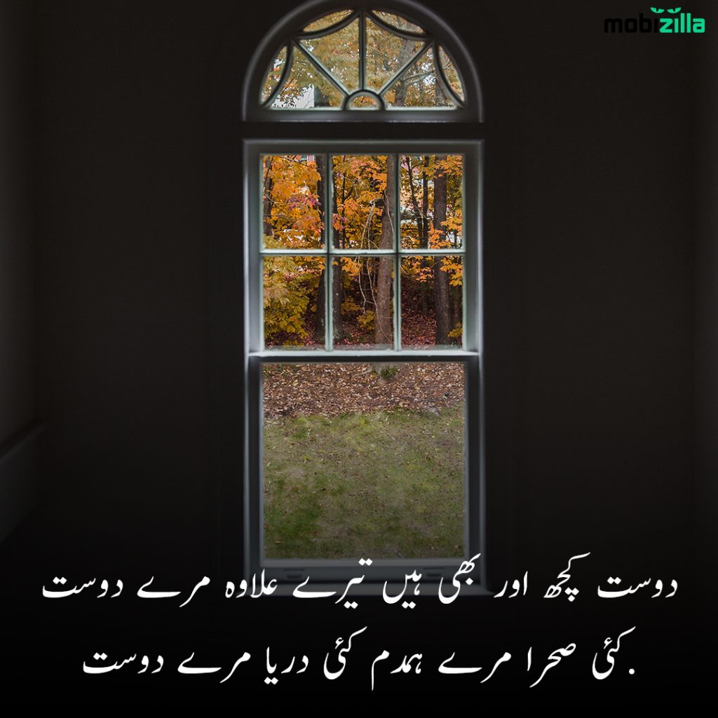 friendship poetry in urdu two lines