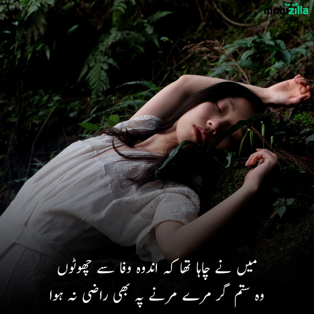 Zulm ki inteha shayari