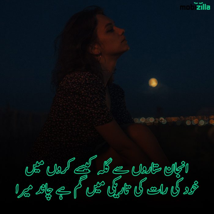 poetry on moon in urdu