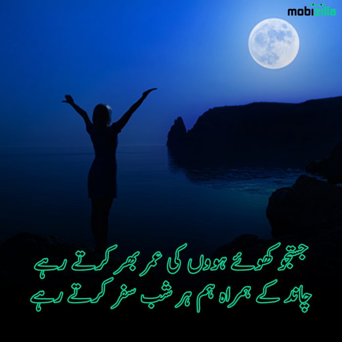 poetry about moon in urdu
