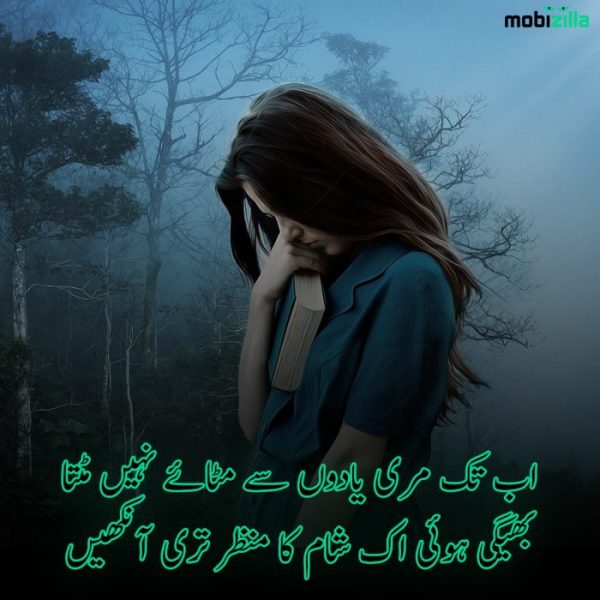 Top 10 Best Yaad Poetry in Urdu | Yaad Shayari Urdu