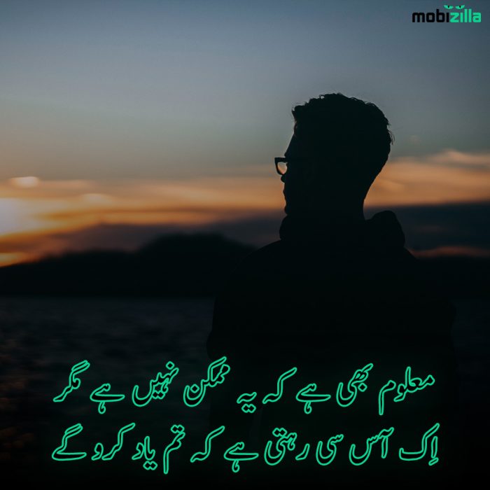 teri yaad poetry