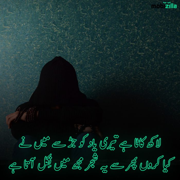 yaad poetry in urdu 2 lines