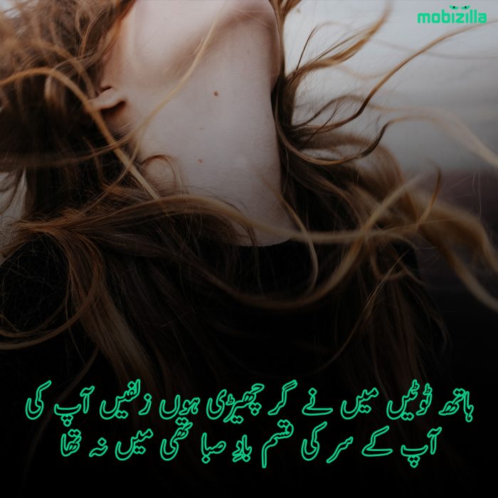 Top 10 Zulf Poetry in Urdu  Hair Poetry  Zulfen poetry
