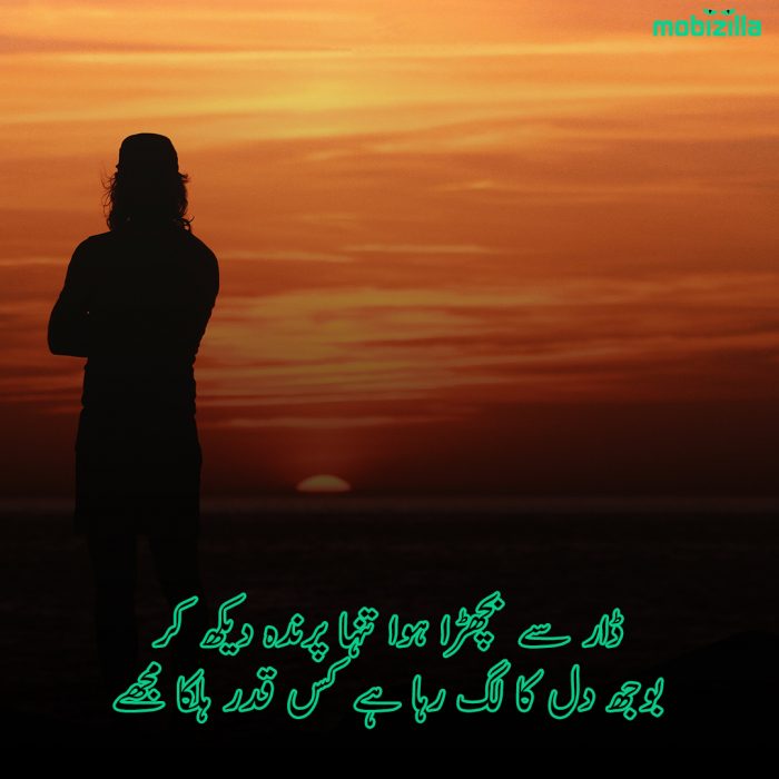 alone-poetry-in-urdu