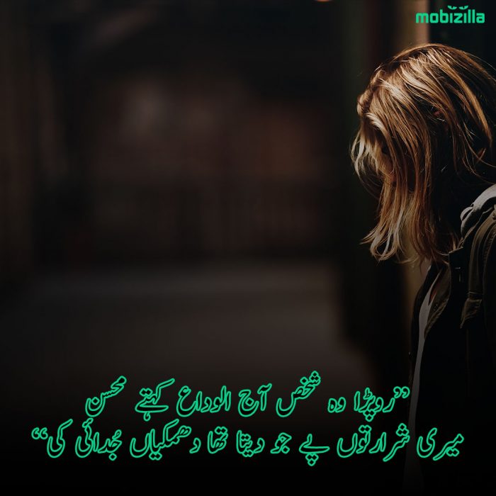 alvida poetry in urdu