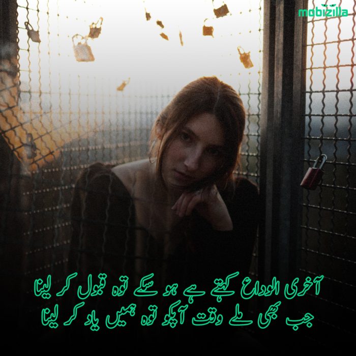 alvida poetry in urdu for lovers