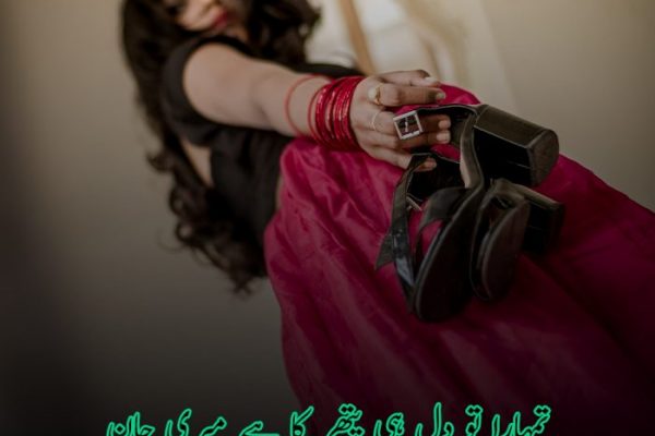 Very Funny Poetry in Urdu with Images