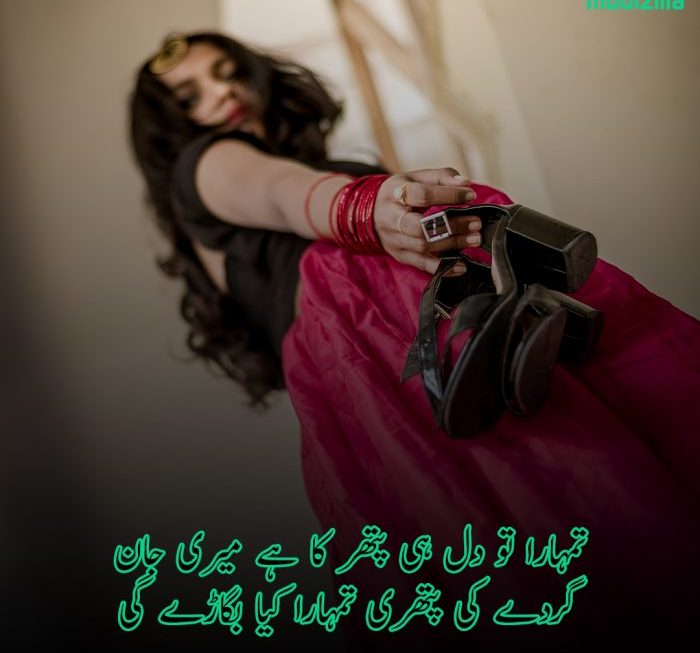 Very Funny Poetry in Urdu with Images