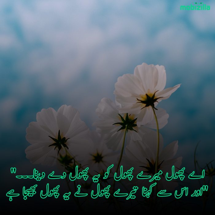 Flower Poetry In Urdu Phool Shayari