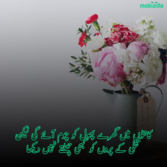 flower-poetry-in-urdu-sms