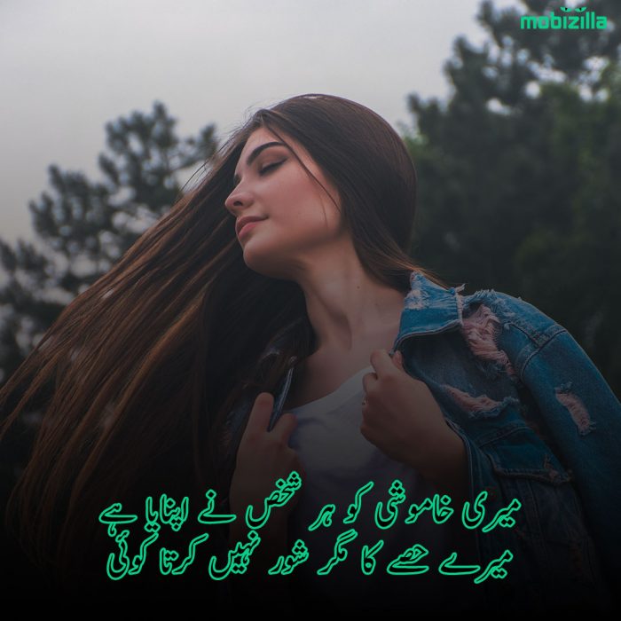 khamoshi-shayari-in-urdu