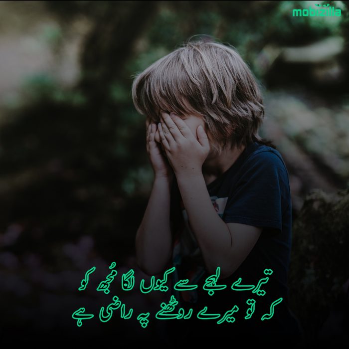 narazgi poetry in urdu