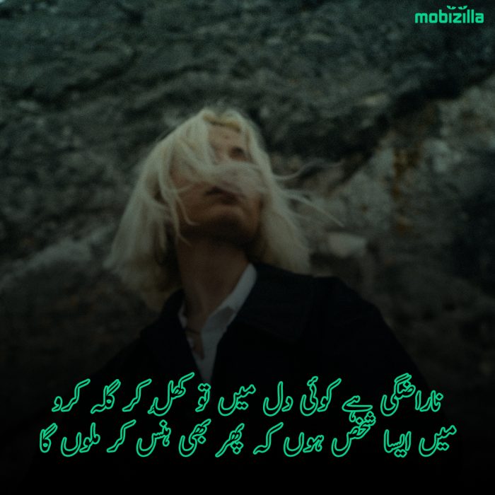 narazgi shayari in urdu