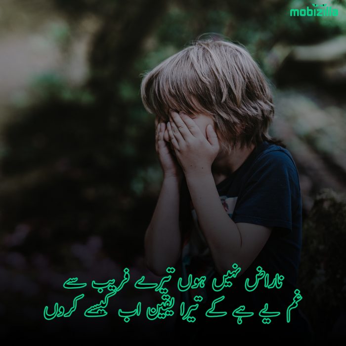 narazgi shayari in urdu