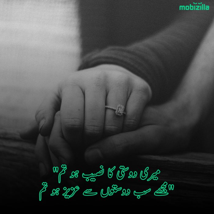 naseeb-poetry-in-urdu-with-images-naseeb-shayari-2-lines