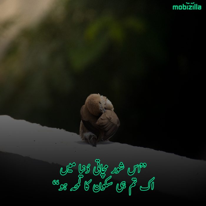 qadar-poetry