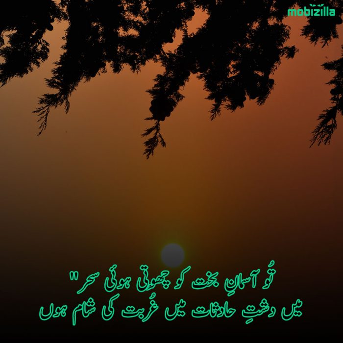 Best Sham Poetry in Urdu | Shaam Shayari 2 lines -