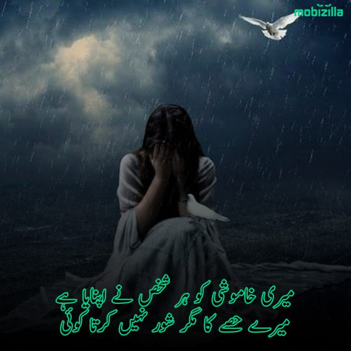 silent poetry in urdu