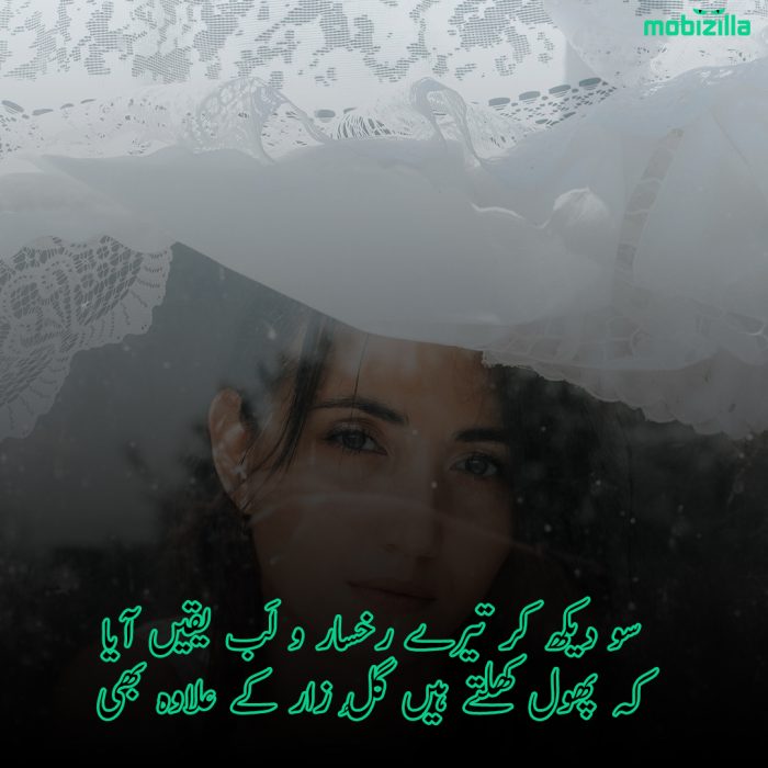 Urdu Poetry on Lips 
