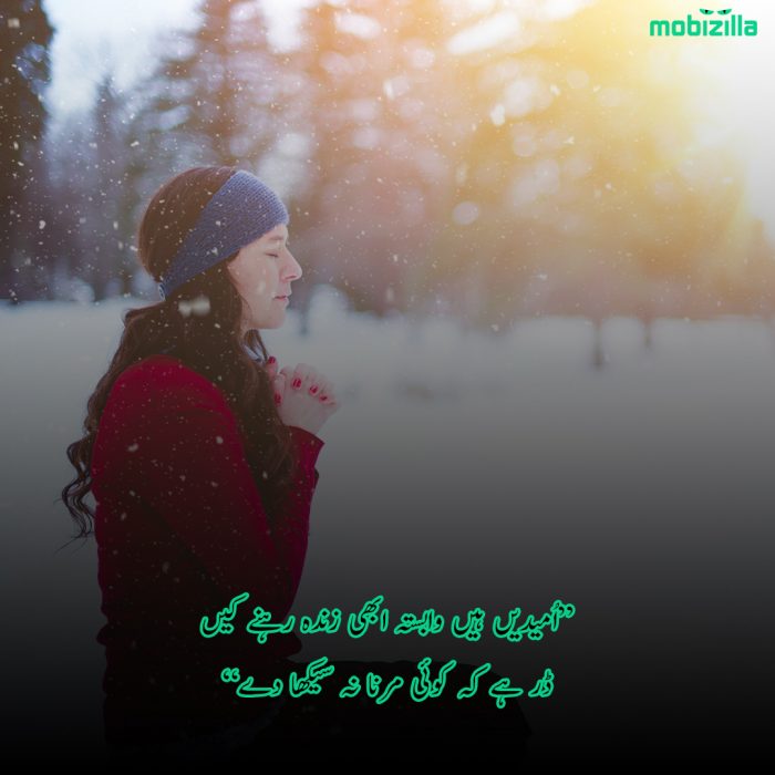 kisi-se-umeed-mat-rakhna-shayari