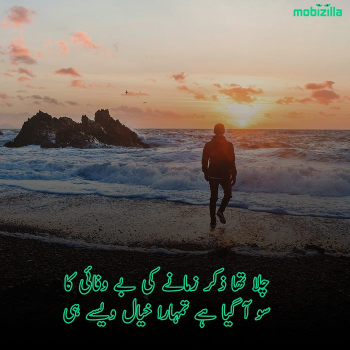 Wafa -e-Dil Poetry 2 line