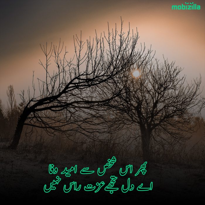 Wafa-shayari-2-lines