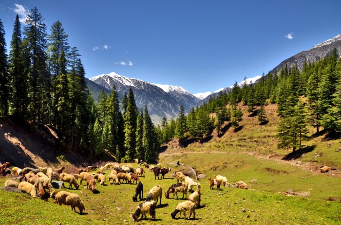 Places To Visit in Kalam Valley