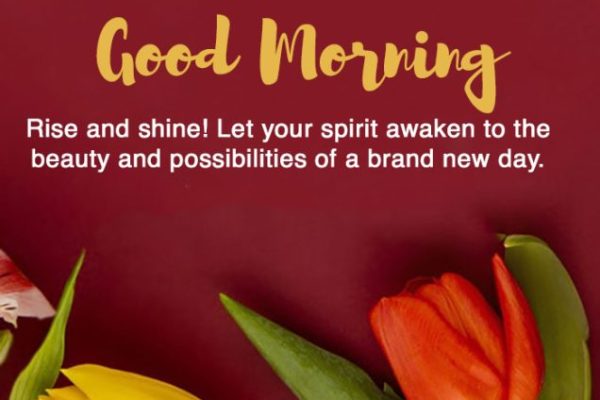 50 Spiritual Good Morning Messages with Images