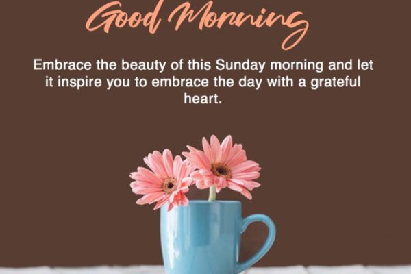 50 Good Morning Sunday Messages and Wishes with Images