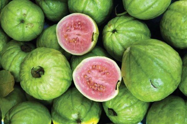 Exploring the Most Popular Fruits in Pakistan