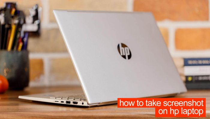 How to take a screenshot on hp laptop?