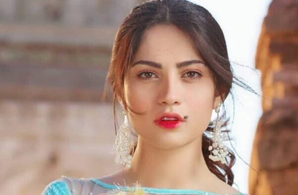 Neelam Muneer | Biography, Age, Family & Other Facts