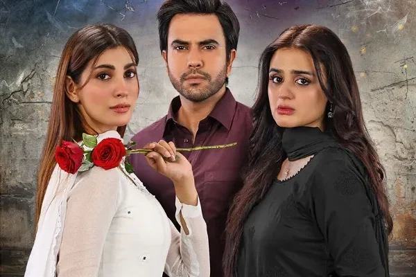 Kalank Drama: Cast, Story, Timing & Other Facts